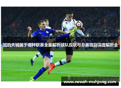 加的夫城属于哪种联赛全面解析球队现状与参赛级别深度解析全 加的夫城属于哪种联赛全面解析球队现状与参赛级别深度解析全