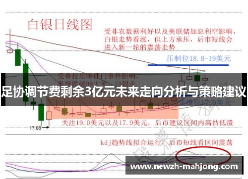 足协调节费剩余3亿元未来走向分析与策略建议