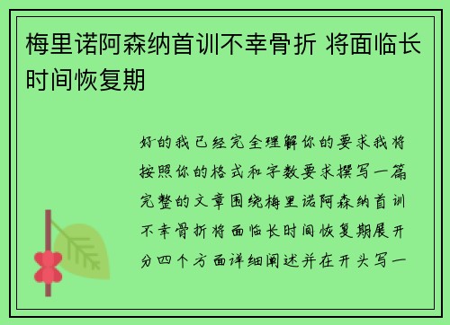 梅里诺阿森纳首训不幸骨折 将面临长时间恢复期
