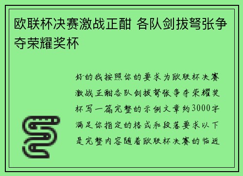 欧联杯决赛激战正酣 各队剑拔弩张争夺荣耀奖杯